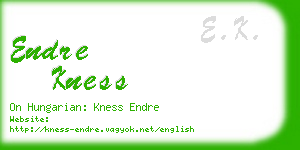 endre kness business card